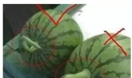 西瓜小视频,短视频时代的潮流盛宴